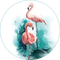 MMarcia cisne ave aquarela  cygne aquarelle - png gratuito GIF animata