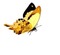 Mariposa - ilmainen png animoitu GIF