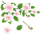 Kaz_Creations Flowers Flower Branch - Free PNG Animated GIF