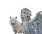 loup avec ange.Cheyenne63 - PNG gratuit GIF animé