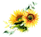 Sunflower.Tournesol.Girasoles.Victoriabea - PNG gratuit GIF animé