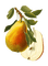 pears Bb2 - png grátis Gif Animado