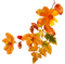 Ветка с  листьями - zdarma png animovaný GIF