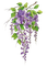 Ветка с цветами - bezmaksas png animēts GIF