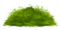 kikkapink deco scrap grass - ilmainen png animoitu GIF