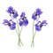 Kaz_Creations Flowers-Fleurs - δωρεάν png κινούμενο GIF