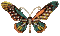 nbl-butterfly