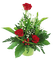 горшок с цветами - δωρεάν png κινούμενο GIF