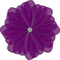 Tube Scrap-Décoration fleur - png gratuito GIF animata