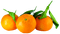 Kaz_Creations Fruit - PNG gratuit GIF animé