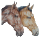 cheval - Бесплатный анимированный гифка анимированный гифка