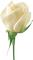 Kaz_Creations Deco Flowers Roses Flower - png ฟรี GIF แบบเคลื่อนไหว