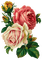 Roses dm19 - png ฟรี GIF แบบเคลื่อนไหว