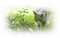 Kaz_Creations Paysage Scenery Cat - 免费PNG 动画 GIF
