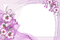 frame-Flower-purple-500x333