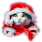 christmas cat chat noel - PNG gratuit GIF animé