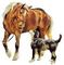Cheval+chien - Free PNG Animated GIF