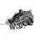 snow leopard bp - PNG gratuit GIF animé