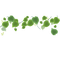 Vine-RM - Free PNG Animated GIF