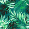 Y.A.M._Tropical foliage background - png gratis GIF animasi
