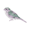 kikkapink deco scrap bird fantasy purple teal - png gratuito GIF animata