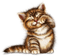 gatito - png gratis GIF animasi