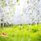 Y.A.M._Spring background - δωρεάν png κινούμενο GIF