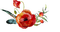 poppy Bb2 - png gratuito GIF animata