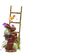 Mala - Free PNG Animated GIF