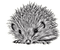 nbl-Hedgehog - Free PNG Animated GIF