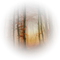 forest brown background - gratis png animerad GIF