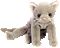 Beanie Cat 3 - Бесплатный анимированный гифка анимированный гифка