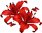 Blumen, Schmetterlinge - Бесплатный анимированный гифка анимированный гифка