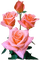 Flowers pink rose bp - nemokama png animuotas GIF