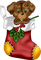 Christmas Stocking -Puppy ------jul strunpa - bezmaksas png animēts GIF