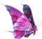 Papillon - zdarma png animovaný GIF