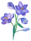 flowers  Bb2 - ilmainen png animoitu GIF