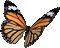 All  my butterflys - GIF animado gratis GIF animado