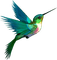 hummingbird - Free PNG Animated GIF