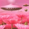 Pink Flower Field with UFO - bezmaksas png animēts GIF