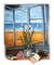 fenêtre - zadarmo png animovaný GIF