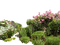 cvetojka - zdarma png animovaný GIF