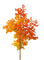 Осень-дерево. - besplatni png animirani GIF