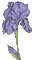цветы - Nemokamas animacinis gif animuotas GIF