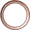 frame round bp - ilmainen png animoitu GIF