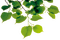 Green Branch - PNG gratuit GIF animé
