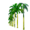 palm trees bp - gratis png animerad GIF