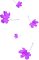 Leaves.Purple - безплатен png анимиран GIF