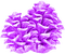 Glitter.Pinecones.Purple - zdarma png animovaný GIF