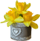 daffodils Bb2 - png gratis GIF animado